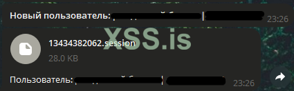 11.png