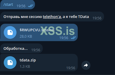 13.png