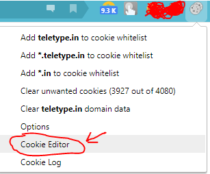 1618996096600.png