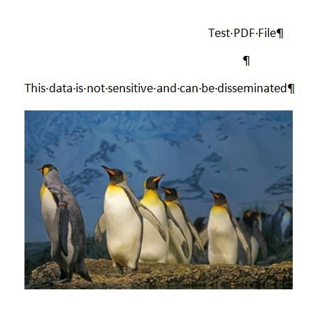 Acrobat Redaction Image 21.jpg