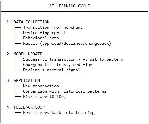 AI learning cycle.jpg