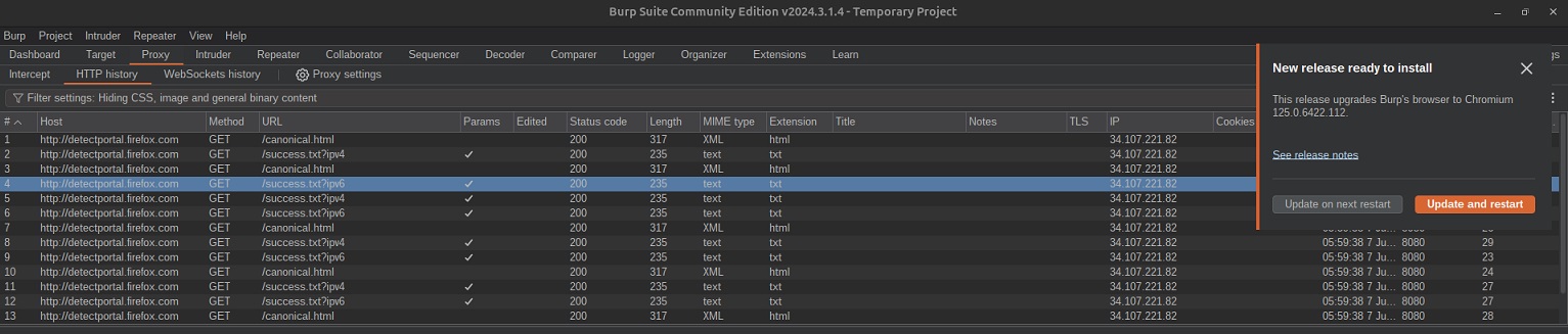 BurpSuite.jpg
