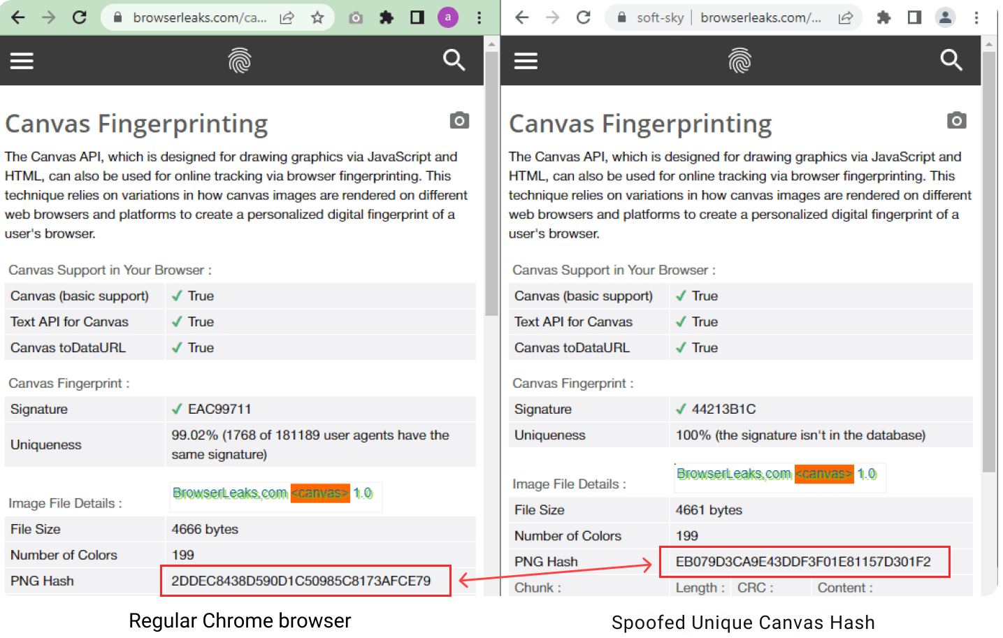 Canvas Fingerprinting.png