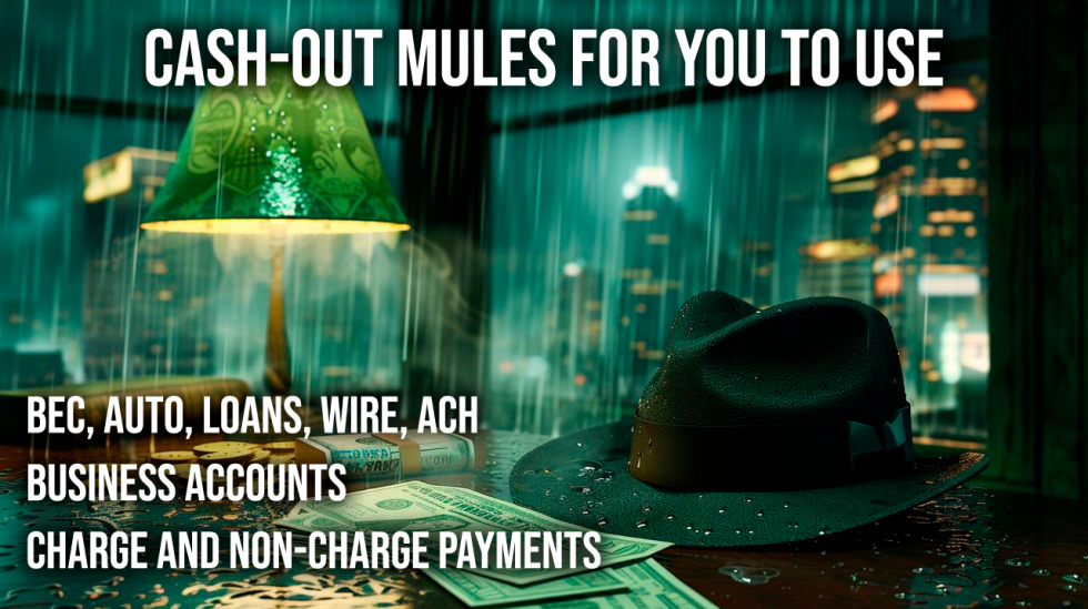 CASH-OUT MULES.png