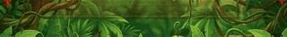 CC STORE.gif
