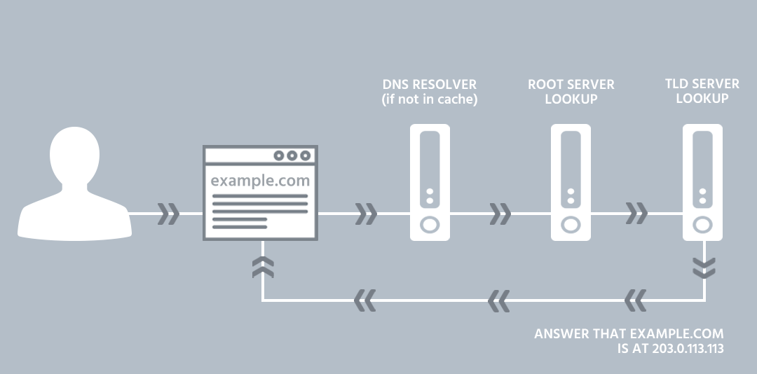dns.png