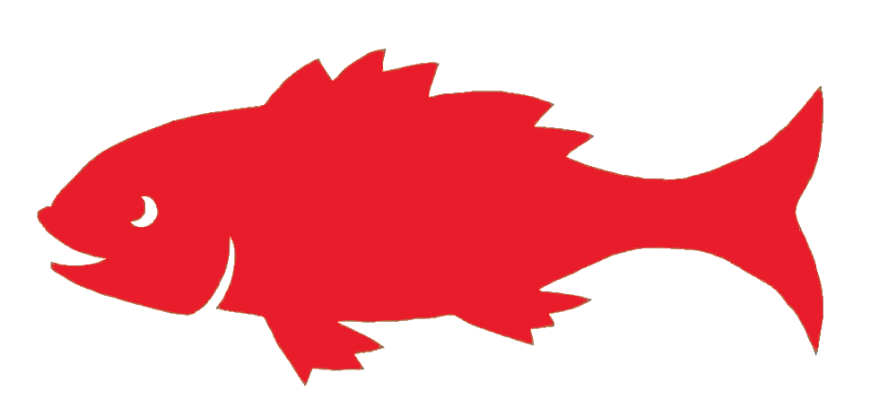 fishyfish.png