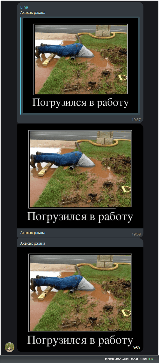 g3.png