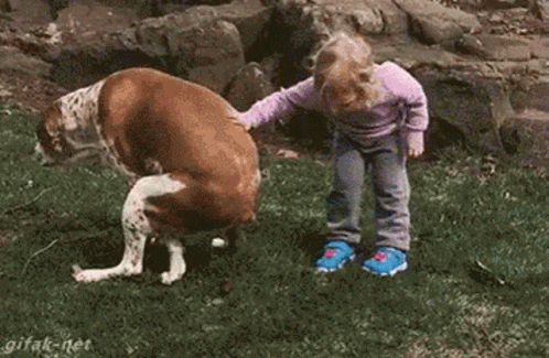 good-boy-good-poop.gif