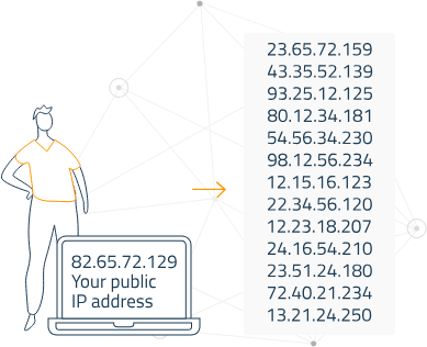 IP address.png