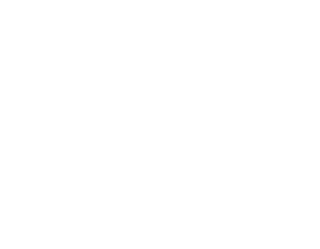 logo_white_cerberux.png