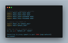proxy.png