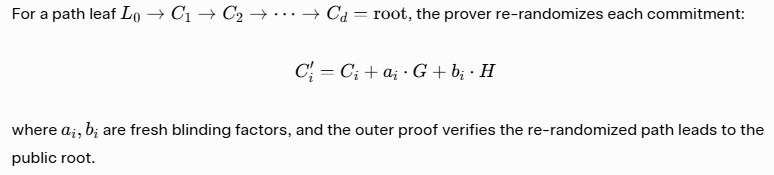 Re-randomization Primitive.jpg