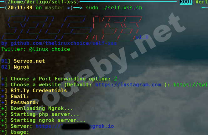 selfxss.png