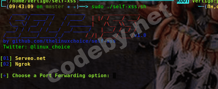 selfxss3.png