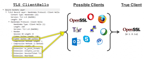 TLS.png