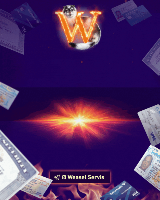 weasel-936.gif