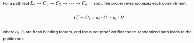 Re-randomization Primitive.jpg
