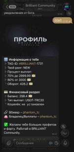 IMG_7281.jpeg