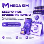 мега сим.jpg