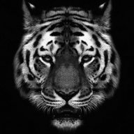 Bannyblanco