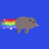 KA6AH
