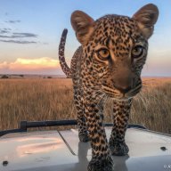 jjeanamantog