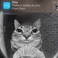 Sigam0571
