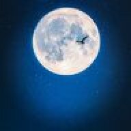 TheColdMoon