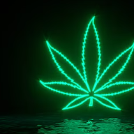 WeedMaker