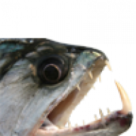 brig