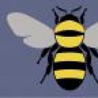 bumblebe