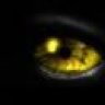 Panther