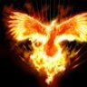 PhoeniX174