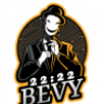 bevyproject