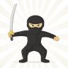 USA Ninja