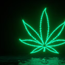 WeedMaker