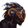 StealthK9