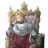 Avverose