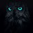 Owls 🦉_Vision 🦉