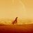 Dune