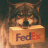 wolfpackganger