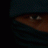 shinobi
