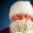 Santa1313