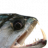 brig