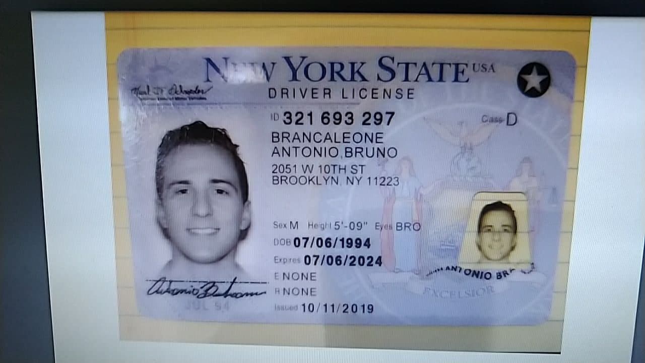 NY Driver License